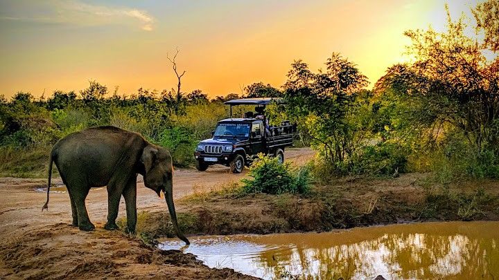 Yala Sri Lanka tour destination